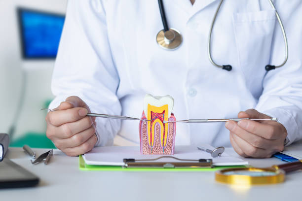 Best Emergency Tooth Extraction in Ixonia, WI